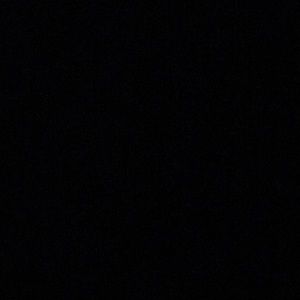 Meet your Posher, Brady